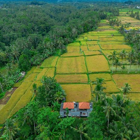 The Alus Cottage And Villa Ubud Exteriör bild