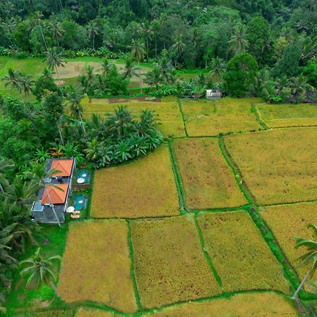 The Alus Cottage And Villa Ubud Exteriör bild