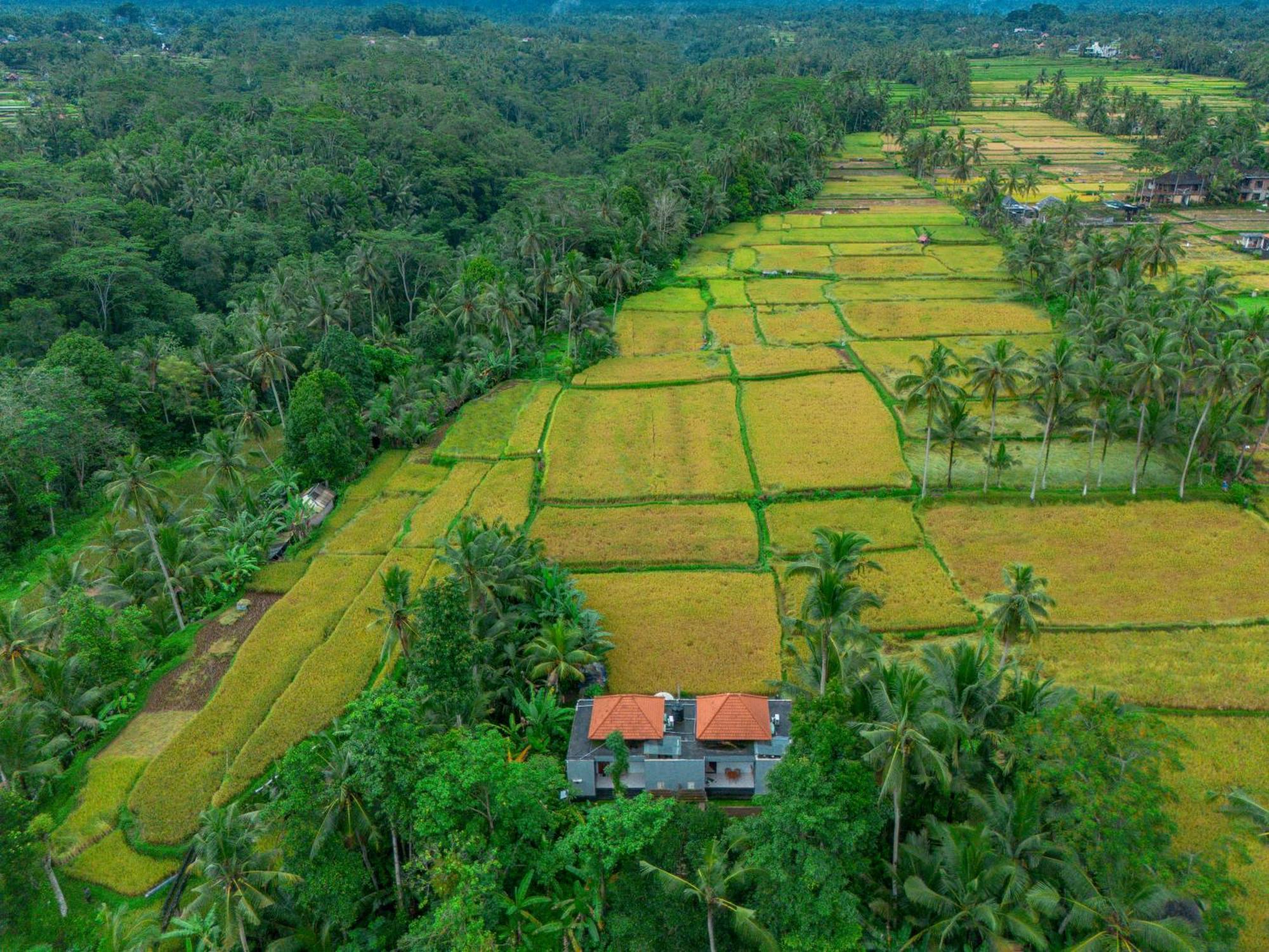 The Alus Cottage And Villa Ubud Exteriör bild