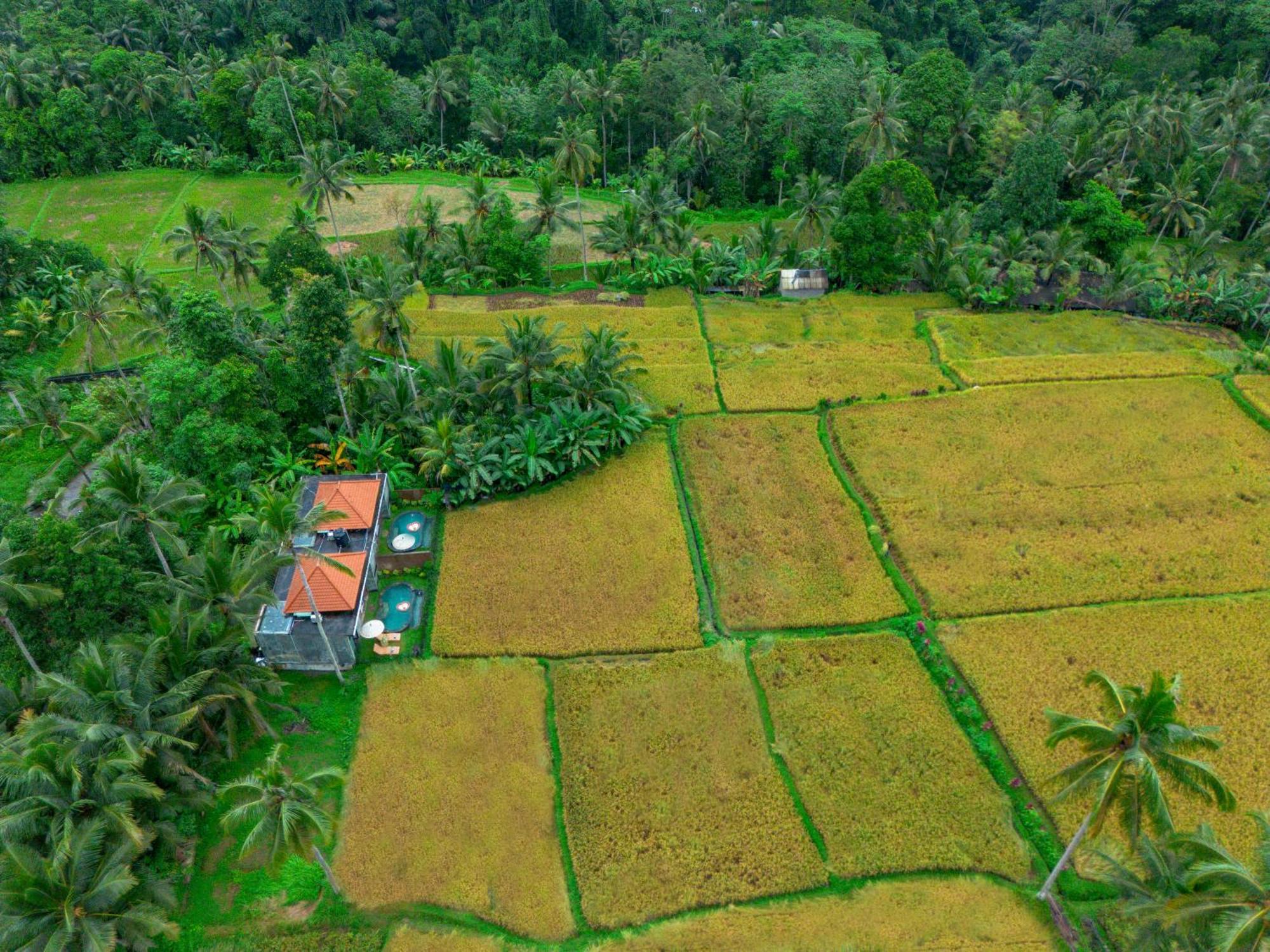 The Alus Cottage And Villa Ubud Exteriör bild