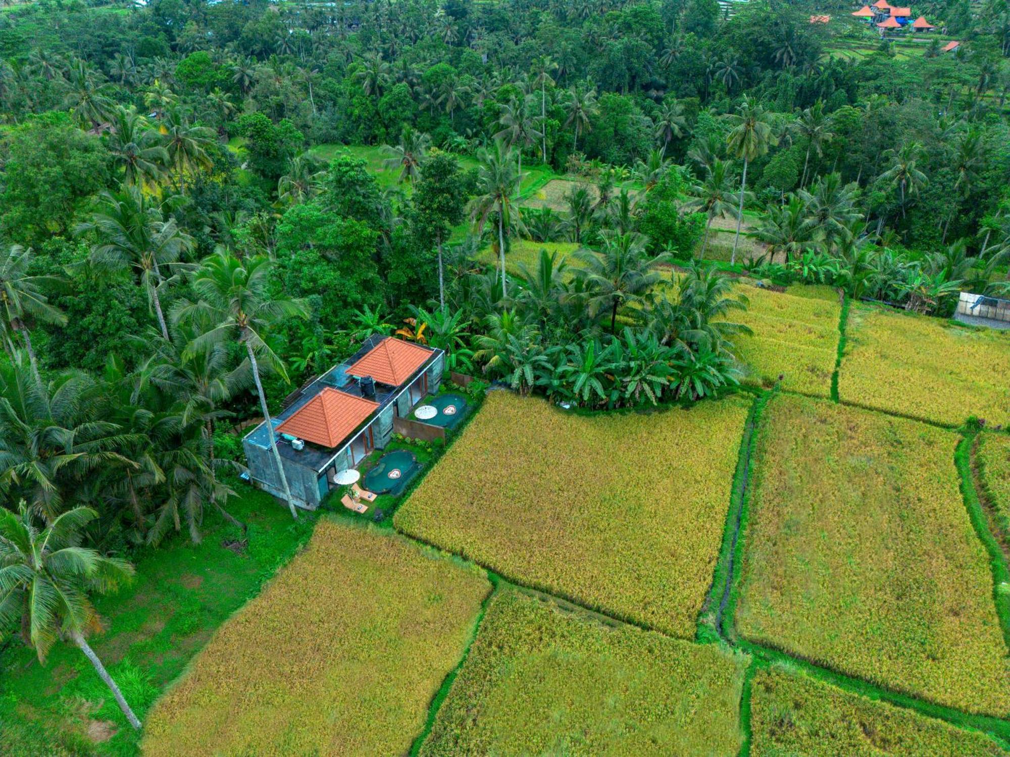 The Alus Cottage And Villa Ubud Exteriör bild