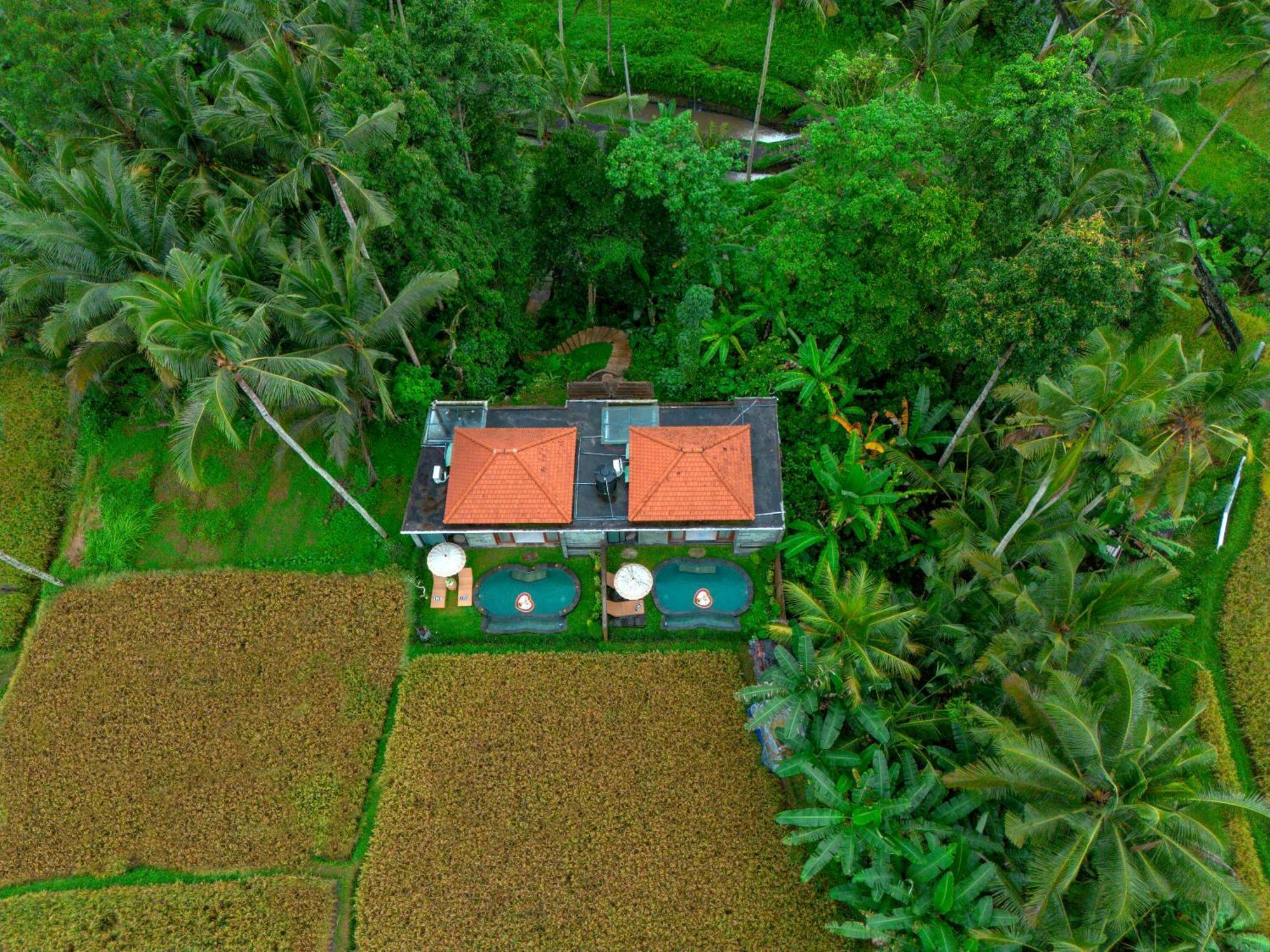 The Alus Cottage And Villa Ubud Exteriör bild